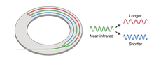 A green line branches into a blue, a green and a red line inside of a flat ring.