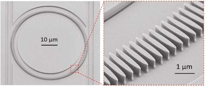 Scanning electron microscope image of a photonic crystal microring with a rod-shaped unit cell.
